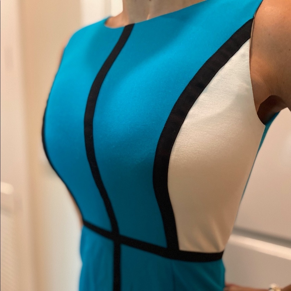 Calvin Klein Sleeveless Sheath Teal, Black & White Dress - Size 2
